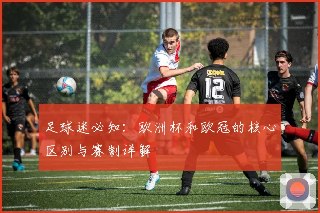 足球迷必知：欧洲杯和欧冠的核心区别与赛制详解